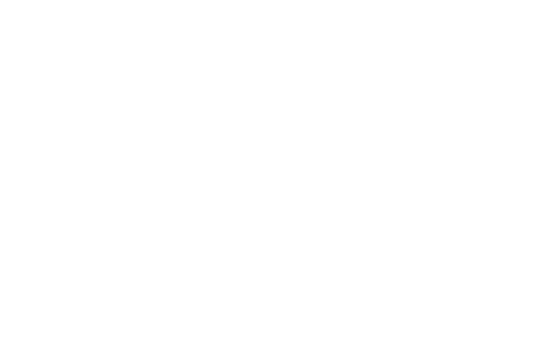 A green background with white lettering that says zenith tree.